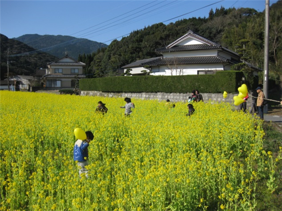 楠甫＊R4-5