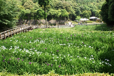 DSC06993