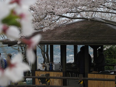 hanami 005