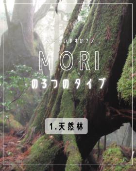 森の三つのタイプ：天然林