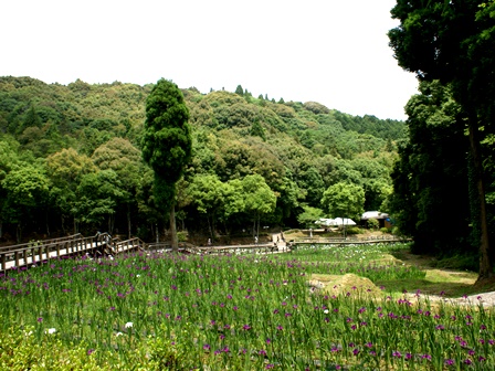 DSC03667