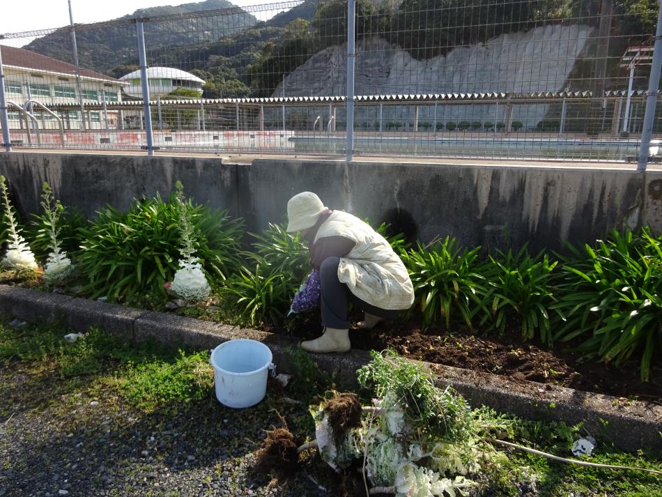 花壇整備