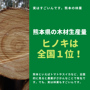 熊本県ヒノキ