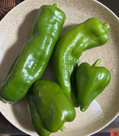 夏野菜を食べやさい🥒