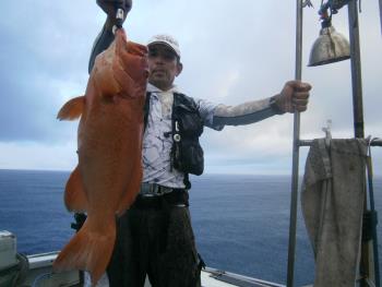 21 7 31 イカ釣り 釣果 牛深 釣り船 21栄進丸