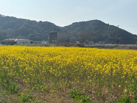 足りない時間(;´Д｀)