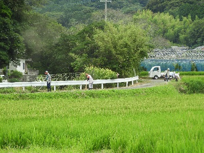 DSCN4373