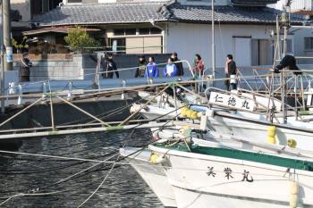 ウォーキング大会