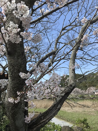 橋の上