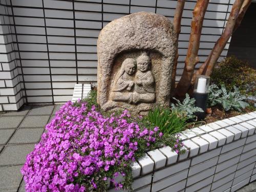 芝桜