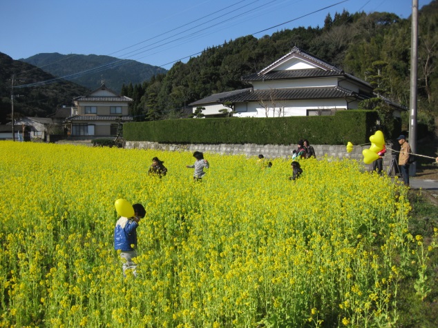 楠甫4