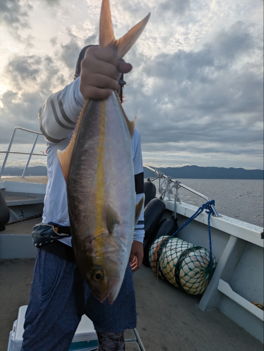 落とし込み釣り