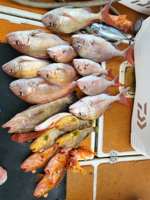 タイラバ