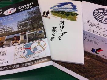 オリーブ園