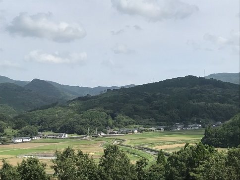 現在のミカン畑からの景色