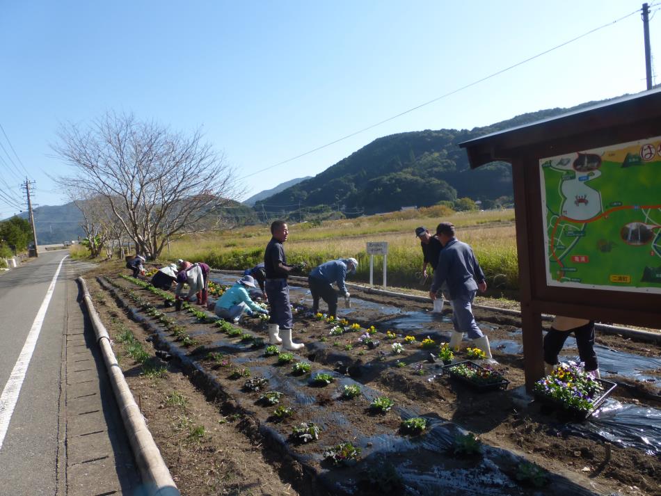 花植え