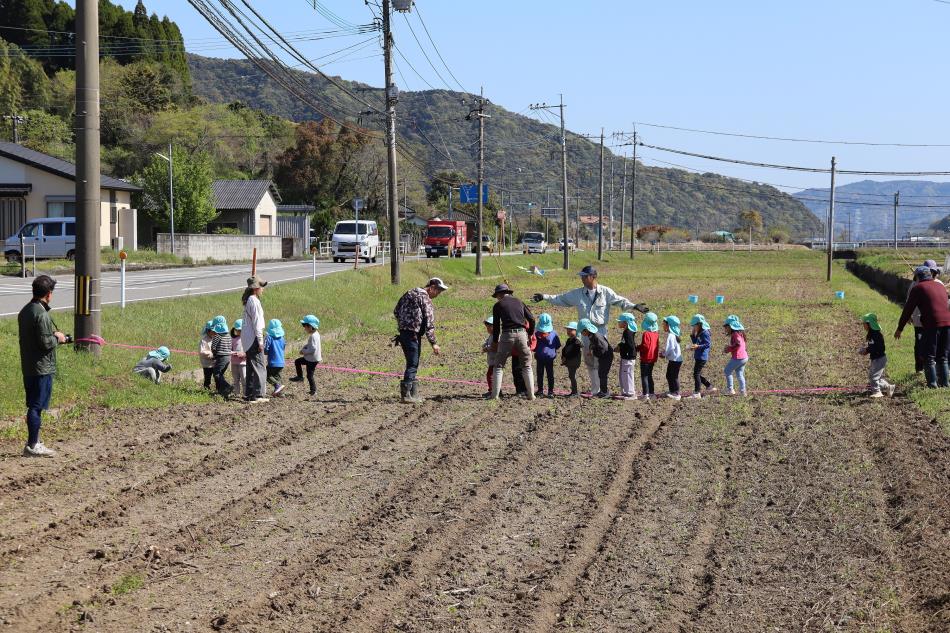 コスモス種まき ロ