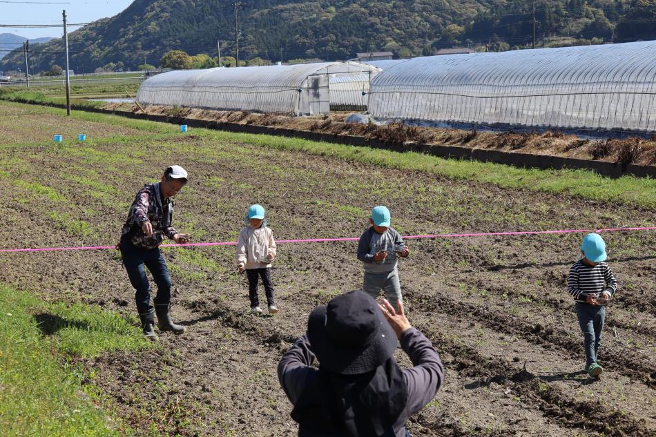 コスモス種まきニ (1)