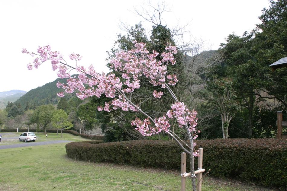 子守唄公園.JPG