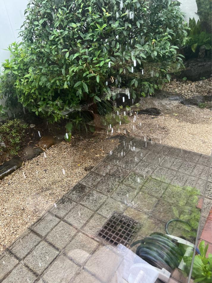 （しのつく雨）