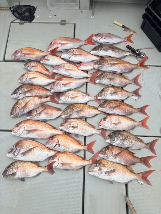 ディープタイラバ