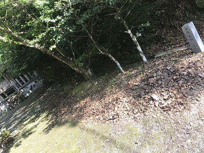 宮の落ち葉集め