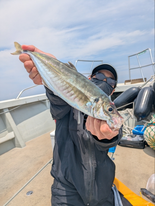 オキアミ五目釣り