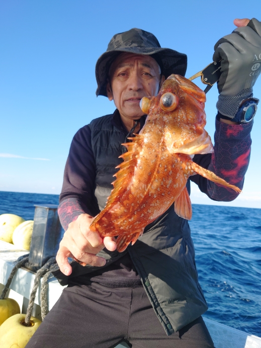 アジ泳がせと切り身釣り