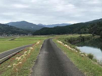 比較