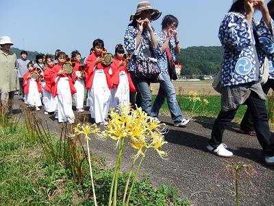 遅咲きの黄花