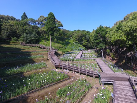 DJI_0042