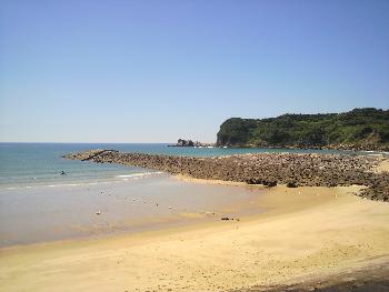 白鶴浜７月１５日