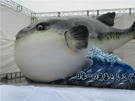 とらふぐ２