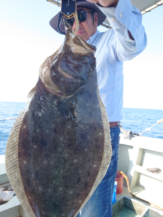 サバ子泳がせと切り身釣り