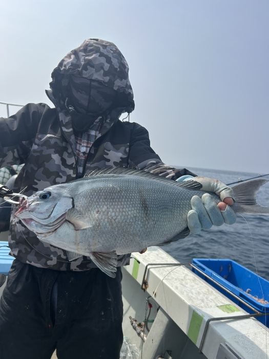 オキアミ五目、アジ曽根便