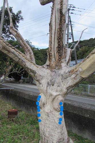 えっうそー涙？