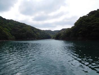 海から魚貫を・・・！