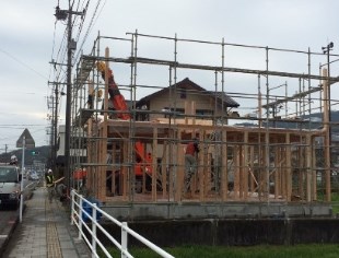 142647274465小