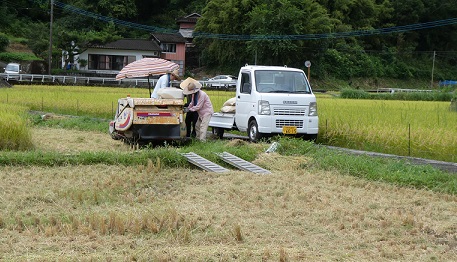 R5年稲駆り