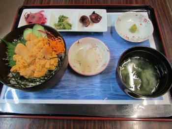 8/24ウニ丼