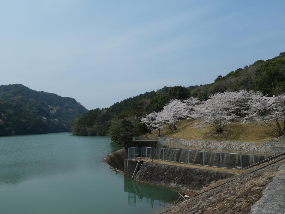 H30_楠浦さくら_02
