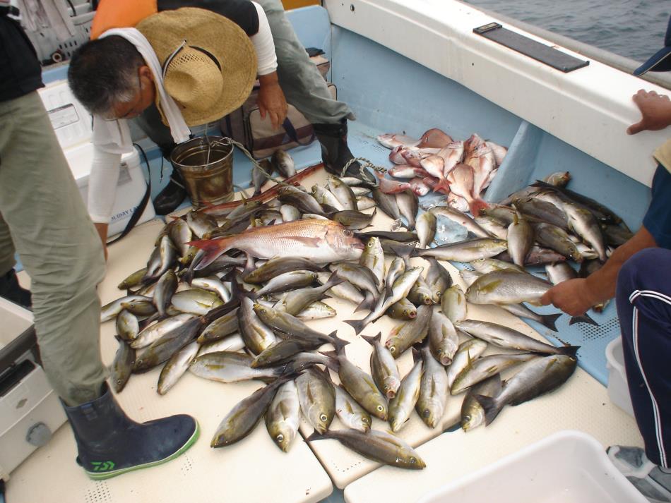 お魚