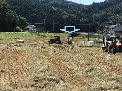 コミセン前飼料巻き