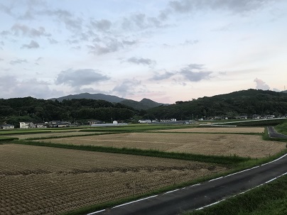 稲刈り後　２