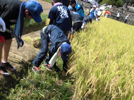 刈り男子