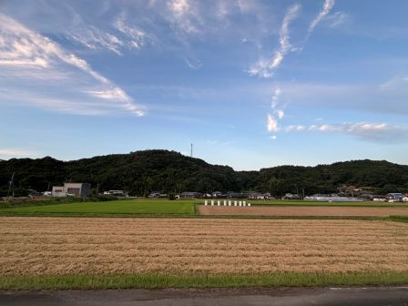 お盆