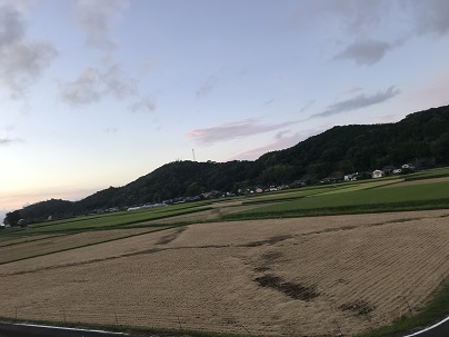 稲刈り後