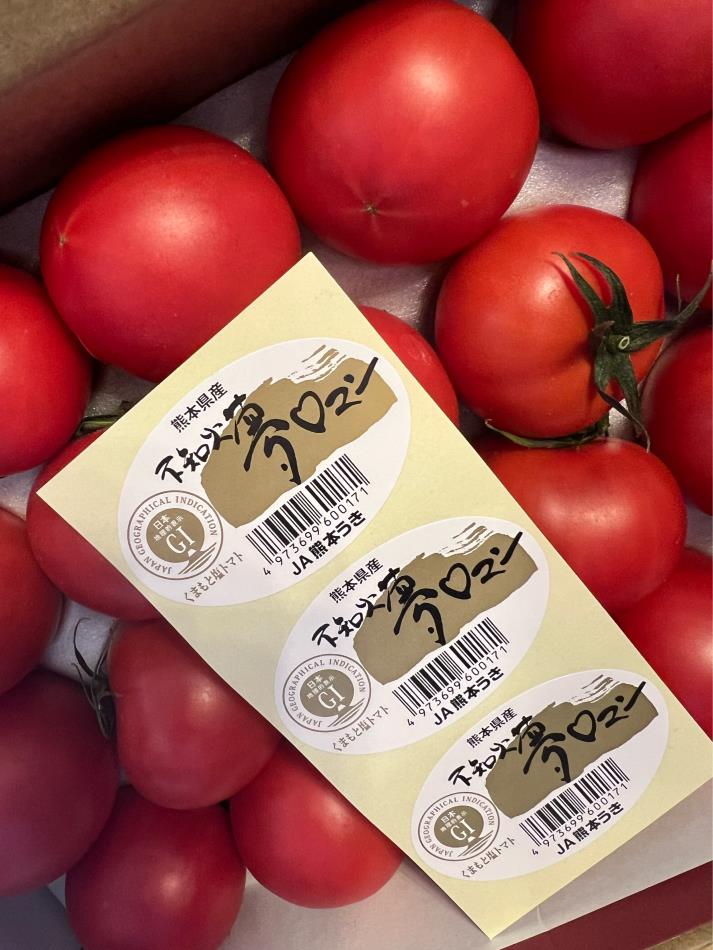 「不知火夢ロマン」