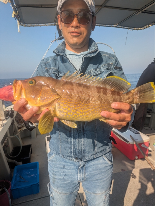 サバ子の泳がせ釣り