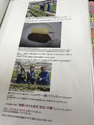 ミラーマジック